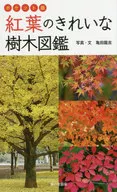 ポケット版 紅葉のきれいな樹木図鑑  / 亀田龍吉