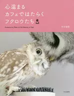 在温暖的咖啡馆里工作的猫头鹰们