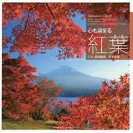 Hojas otoñales teñidas por el corazón