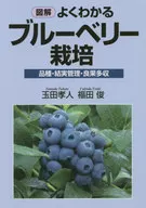 Cultivo de arándano ilustrado