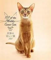 The World's Beautiful Cat 101