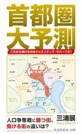 Metropolitan area large forecast