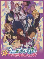 钢琴独奏歌之☆王子殿下♪真爱革命