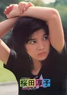 Junko Sakurada, 18 years old Sugao