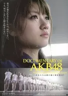 DOCUMENTARY OF AKB48 ~ NO Flower WITHOUT RAIN ~ Flyer