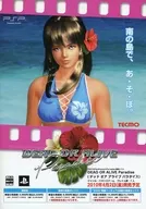 DEAD OR ALIVE Paradise Flyer