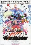 Promeer flyer