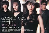 君という光 フライヤー (10/29待望の3rdアルバム発売決定!)