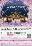 NAKED FLOWERS 2023 フライヤー (桜×日本の伝統文化で楽しむ、二条城だけの春の夜)