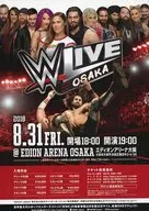 WLIVE OSAKA フライヤー (WWEとは)