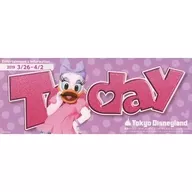 tokyo disneyland today entertainment＆information 2019年3月26日～4月2日 東京ディズニーランド トゥデイエンターテイメントアンドインフォメーシン