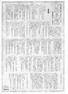 Witches and Mercenaries Cooperating Bookstores Special Write-Down Paper / Extralegal Frog