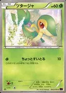 005 y 078 [C] : Snivy