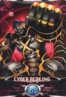 C15 ： 「CaK-006 」网际红国王