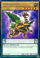 CORE-EN097 [R] : Mandragon / Mandragon