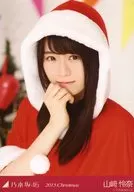 Rena Yamazaki / Santa Bastup / "2015 Christmas" venue limited Official photo