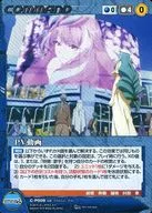 C-P009 [P] : vídeo PV (especificación de metal)