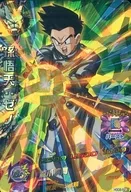 HGD8-52[スーパーレア]：孫悟天：ゼノ