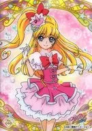 No. 040 : Cure Miracle