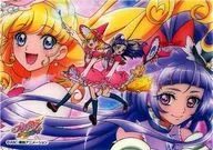 - : Cure Miracle / Cure Magical / モフルン