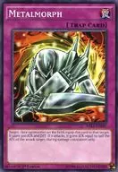 MIL1-EN045 [N] : Metalmorph / metalized / magic reflective armor