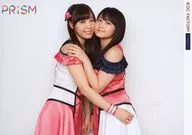Morning Musume. '15 / Fukyumura Sho, Satoshi Riho / Horizontal, Joelho, Fantasia, Rosa Preto e Branco, Ombro Esquerdo, Bochecha, Tamanho 2L / Morning Musume. '15 Concerto Tour : Outono ~ prisma ~