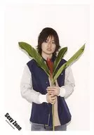 SeXyzone / Kikuchi Furuma / Above-the-knee ・ Costume blue white beige ・ Both hands flower ・ Camera line of sight / Official Official photo