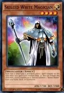 YGLD-ENC20[N]:Skilled White Magician/娴熟的白色魔法师