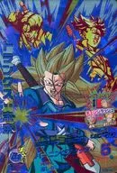 HGD9-CP4[CP]：トランクス：未来