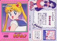 19[ノーマル]：うさぎ変身