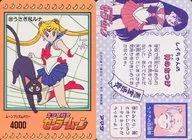 33 [Normal] : Rabbit & Luna