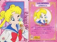 N15[正常]:月野兔