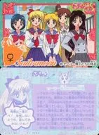 351 Normal : Sailor Warriors' Rest
