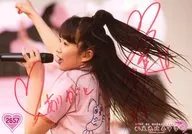 2657 : ☆ Private Ebisu Junior High School / Mirei Hoshina / with handwritten signature / King Of Gakugeeeekai Shrimp Logo / Official Official photo