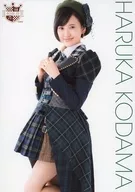 Haruka Kodama / Knee-Up / Check Costume / AKB48 CAFE & SHOP limited A4 size Official photo poster 86th edition