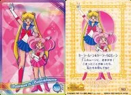 N13 Normal : Sailor Moon & Sailor Chibi Moon