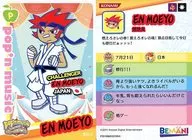 PD19N032/064 [Normal Card] : Flame Retardant