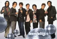 集合(7人)/舞台「bambino+ YOKOHAMA」物販トレカ