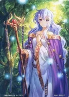 Special Marker Card : Diadora