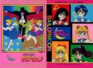 25[ノーマル]：華麗なる変身