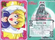 42[ノーマル]：愛野美奈子