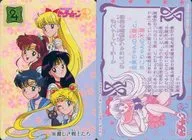 105[ノーマル]：麗しき戦士たち  