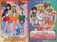 295[正常]:超级四守护神，参上！
