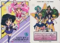 39 Normal : Super Sailor Saturn & Little Moon