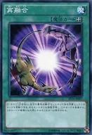 AT16-JP007[N]：再融合