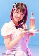 朝長美櫻/「清純Taiad」Ver./CD「高壓」[帶DVD通常盤TypeE](KIZM-463/4)特典生寫真