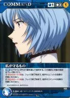 C 004 [N] : Lo que defiendo