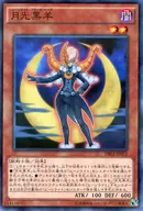 DBLE-JP012[NP]：月光黒羊