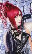 No. 118 : Royz / 公大 / CDs "Supernova" Special Treka