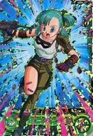 PBBS-13[P]：ブルマ